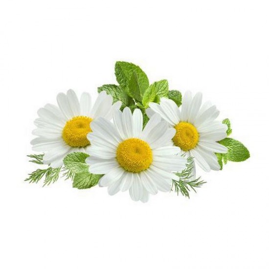 ORGANIC ROMAN CHAMOMILE FLORAL WATERS