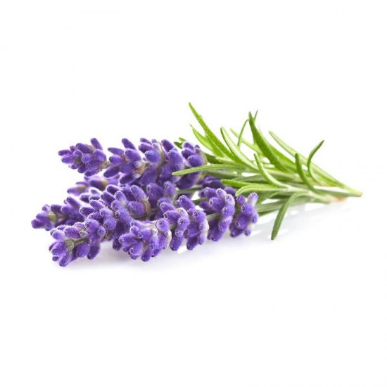 LAVENDER  - ESSENTIAL OIL