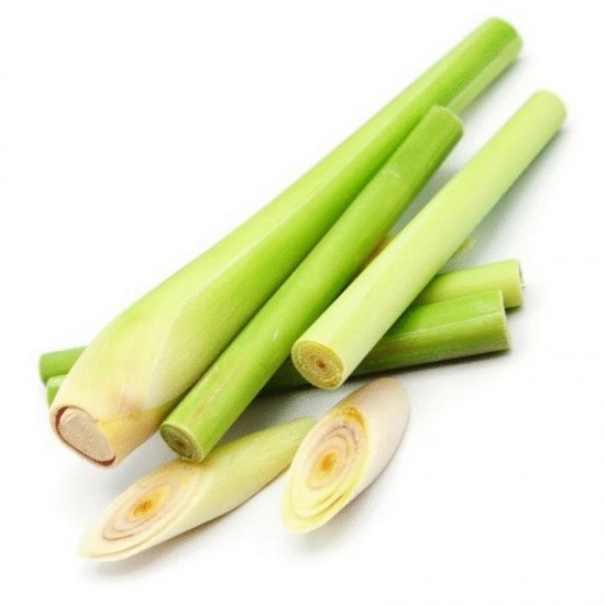 LEMONGRASS - ESSENTIAL OIL