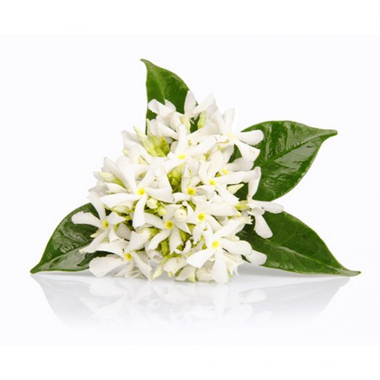 3% MOROCCO NEROLI- ESSENTIAL OIL